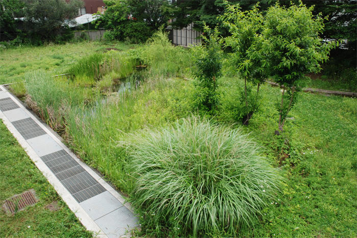 「理科園」の様子