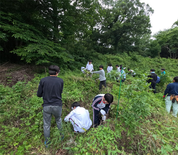 作業中の環境福祉委員会