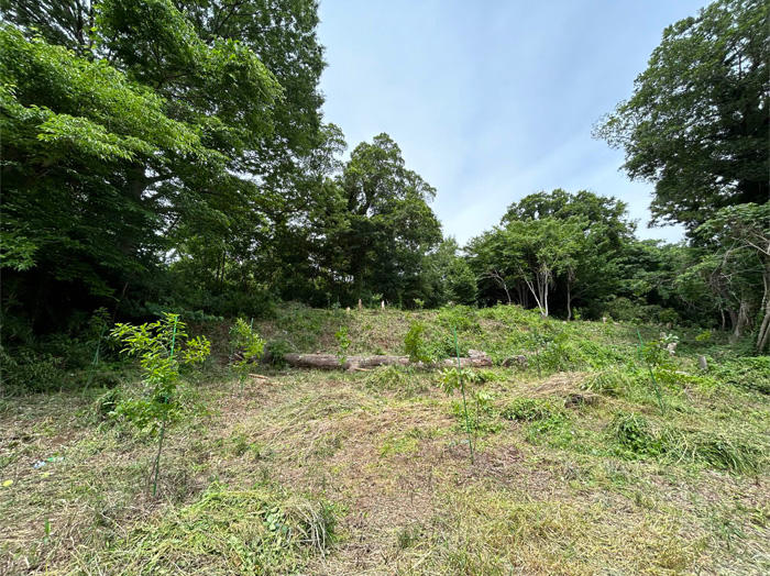 作業後の森の様子