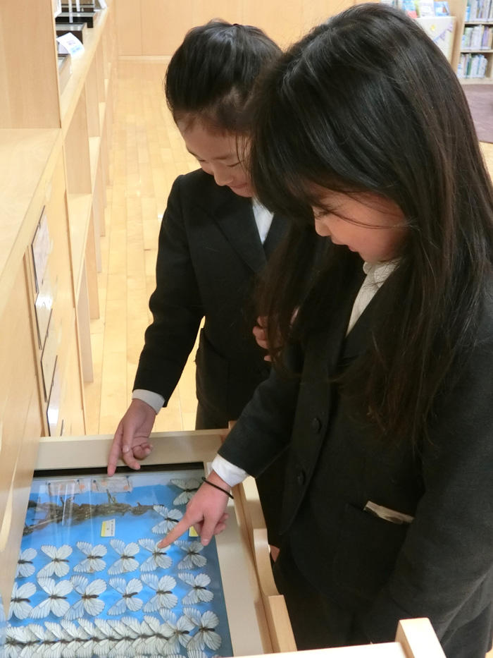 横浜初等部図書館3