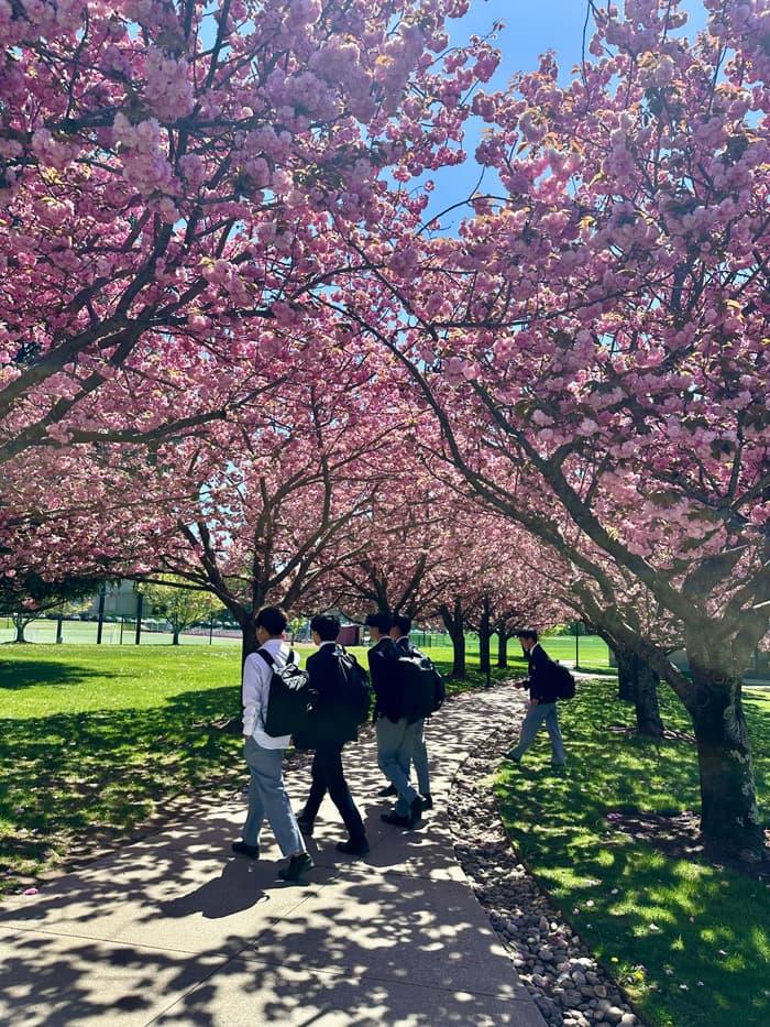 ニューヨーク学院4